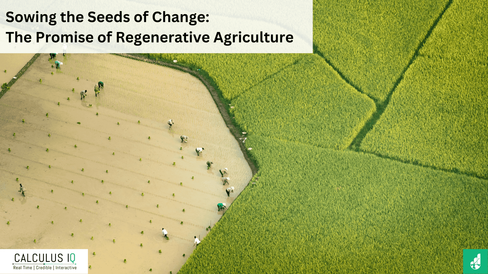 Sowing the Seeds of Change: The Promise of Regenerative Agriculture