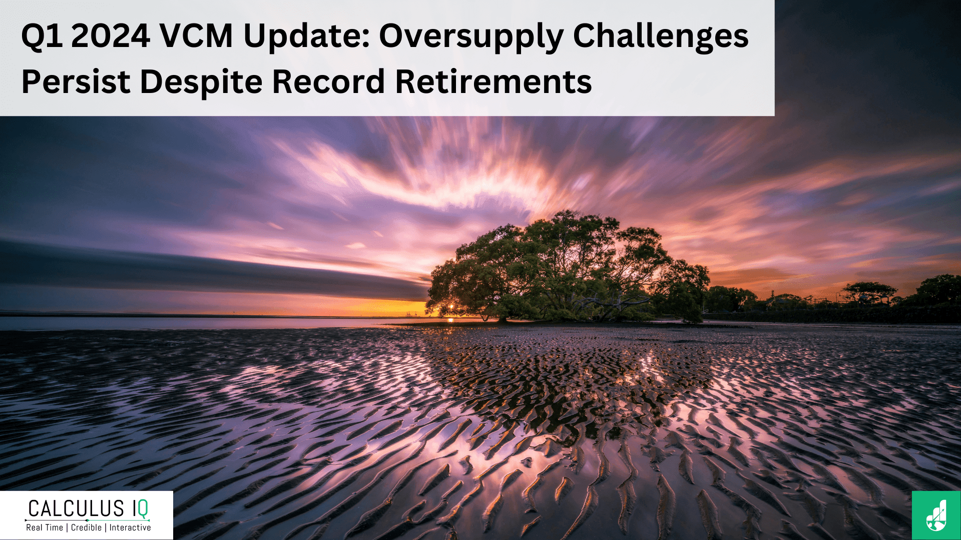 Q1 2024 Voluntary Carbon Market Update: Oversupply Challenges Persist Despite Record Retirements